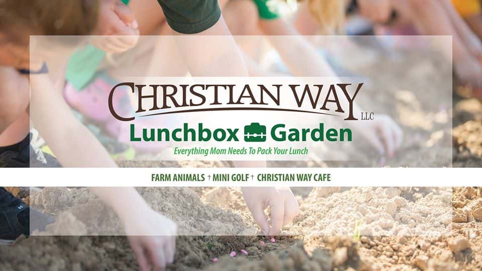 81619361_3025772017443079_620423165666918400_o-jpg