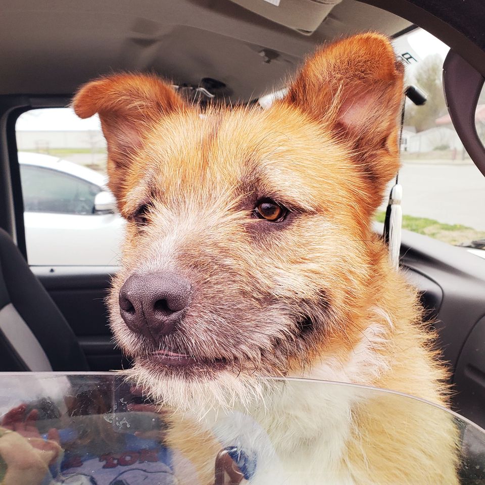 56237544_2359638300747460_88955004697706496_o-jpg-3