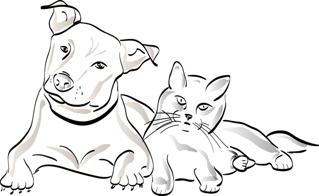 dog-1532627_640-png-6