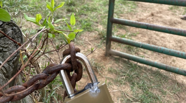 Law Enforcement Warns Of Attempted Cattle Theft - Vimarsana News