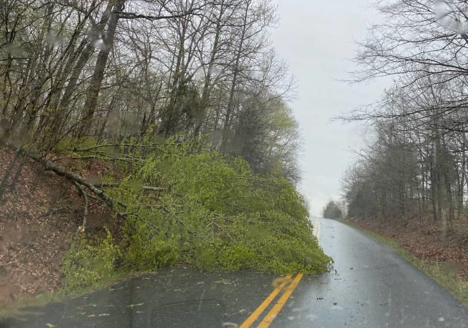 Tree Damage, Power Outages Reported From Wednesday's Storms - Vimarsana News