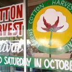 kerens-cotton-harvest-festival-window-832