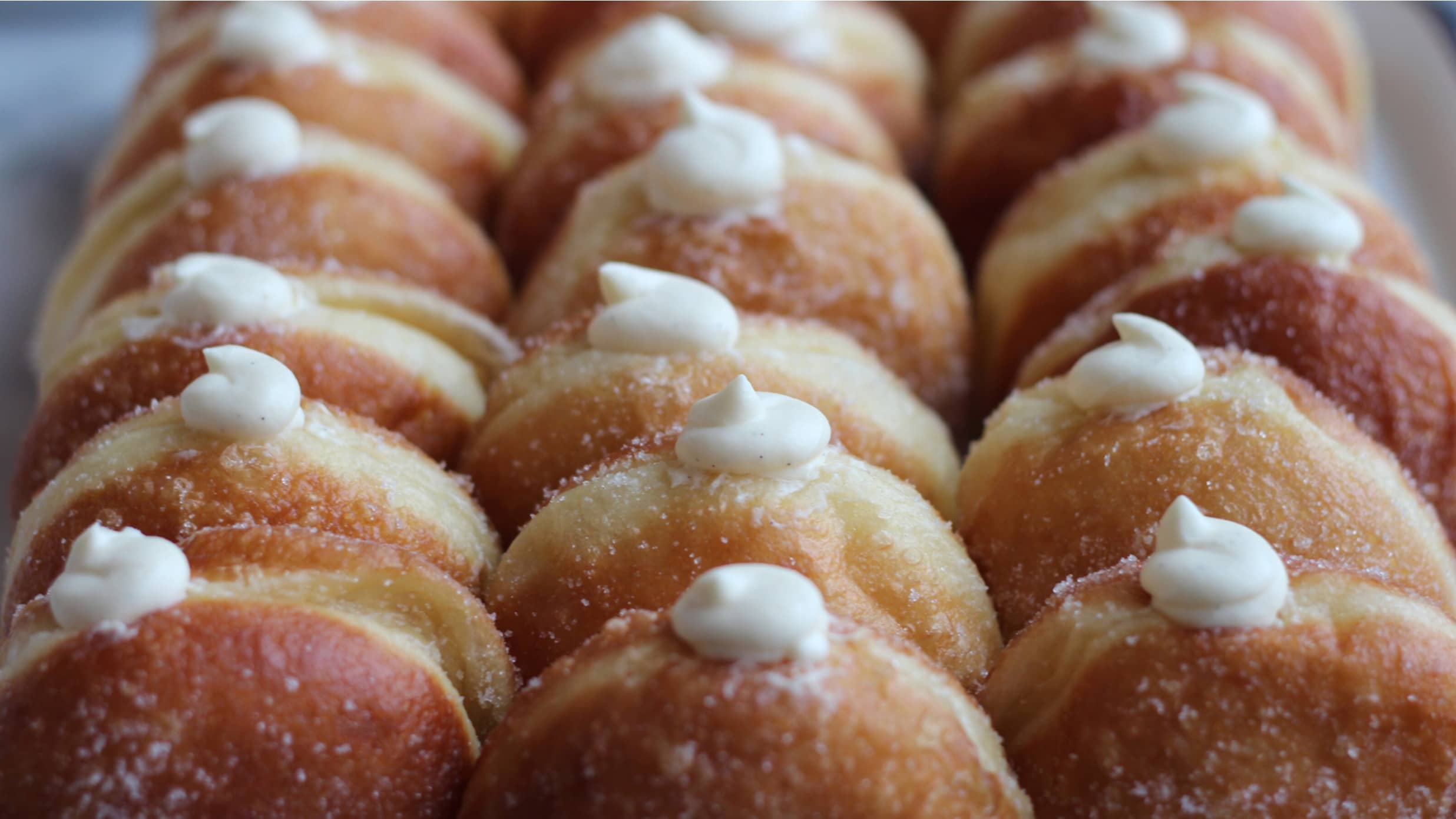 photo of an array of cream-filled donuts from General Porpoise