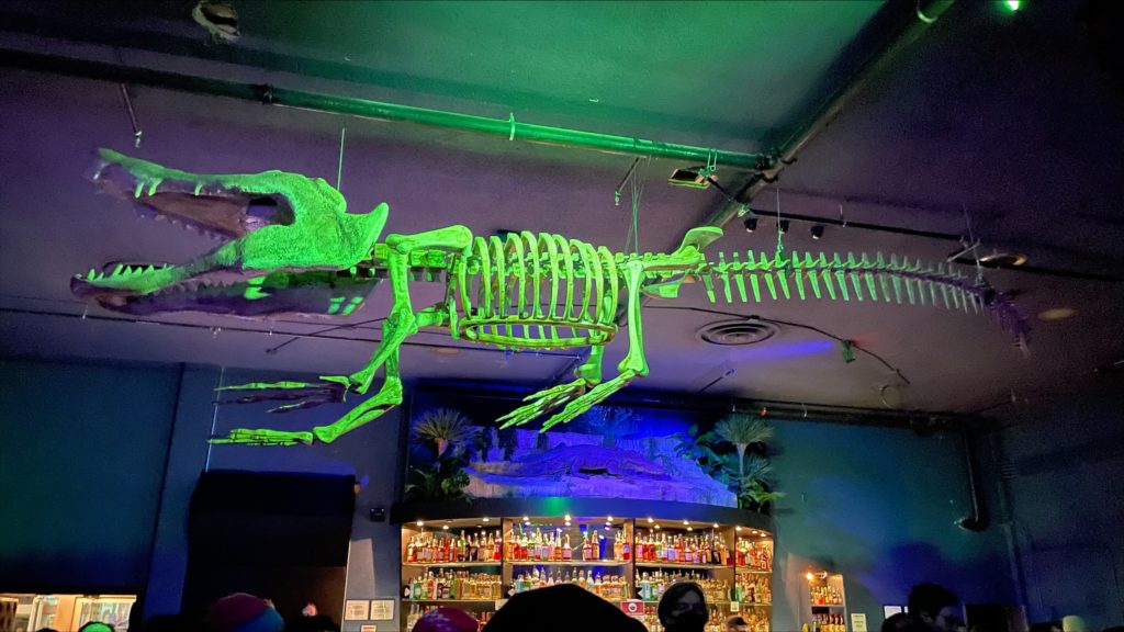 a skeleton of a crocodile