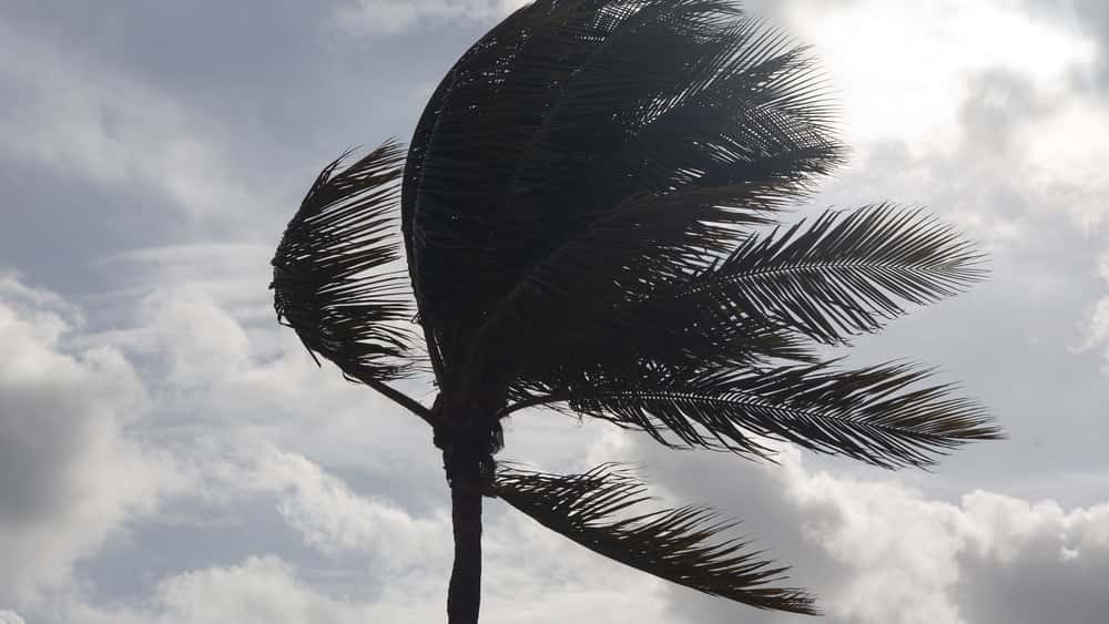 tmp6813bcdd-4e59-490f-a3c9-13b847046171-jpg