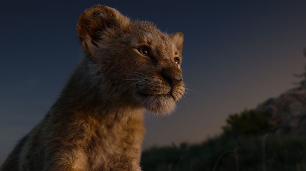 e_thelionkingstill_071119