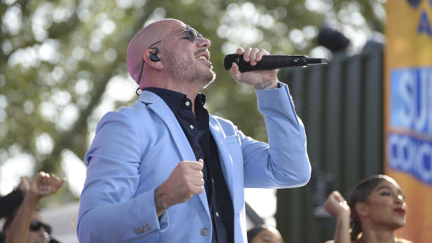 m_pitbull_080919