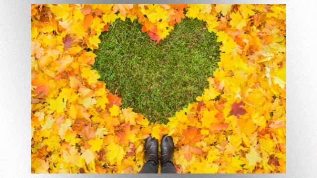 istock_hotgirlfall_100519