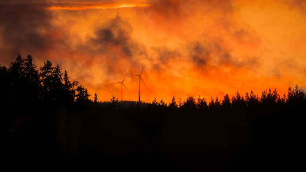 tmpab3c7344-5ce3-4b56-85d7-aff6af49abc6-jpg