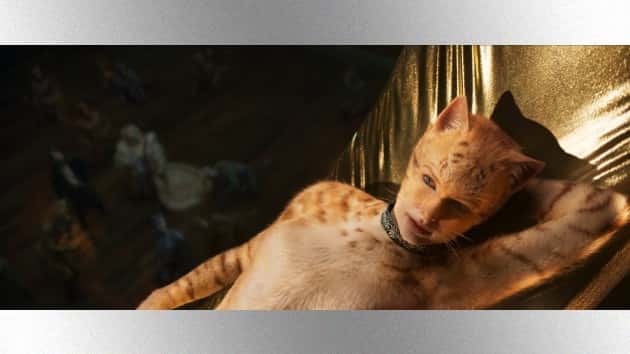 m_taylorswiftincats_071819-2