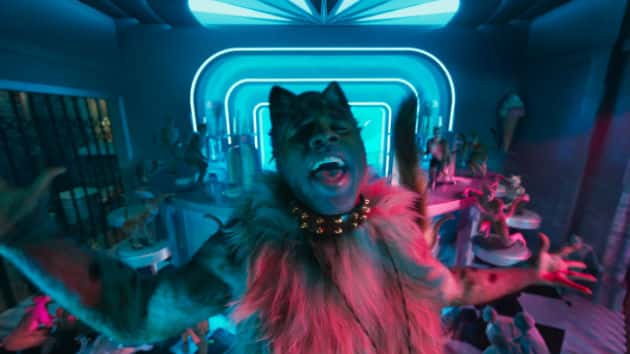 m_jasonderulocats_120319