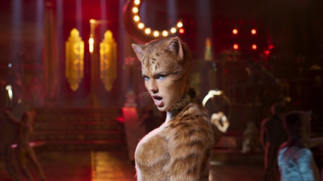 m_taylorswiftsexycat_071919-8