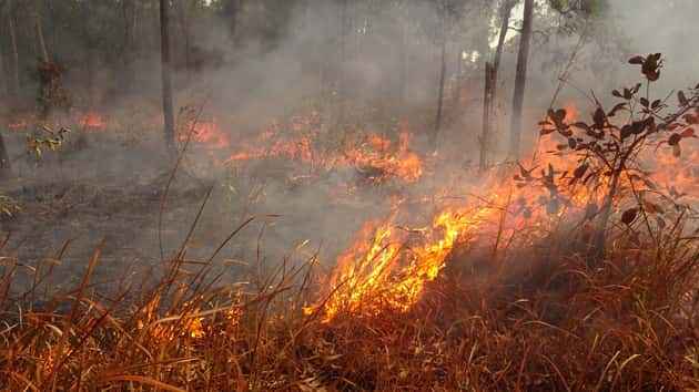 istock_australian_fires_182020