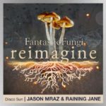 m_jasonmrazrainingjanediscosun_080320