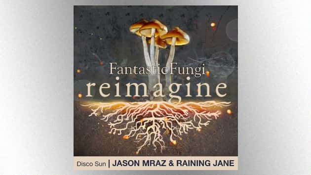 m_jasonmrazrainingjanediscosun_080320