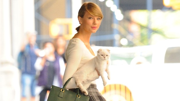 getty_taylorswiftcat_111320