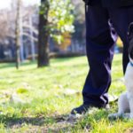 istock_dogwalker_030121