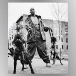 m_dmx_040921