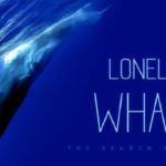 e_lonliest_whale_07152021