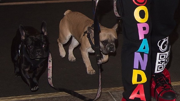 getty_gagadogs_081721