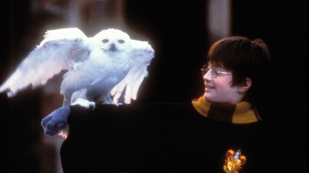 getty_harrypotterfilmstill_111521