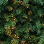 istock_christmas_tree_120621