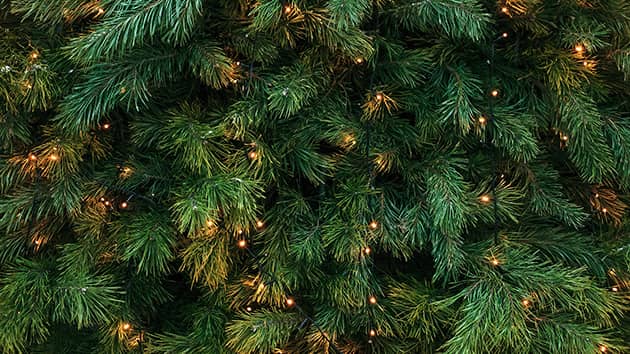 istock_christmas_tree_120621