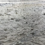 gettyrf_72622_rainpuddle_0