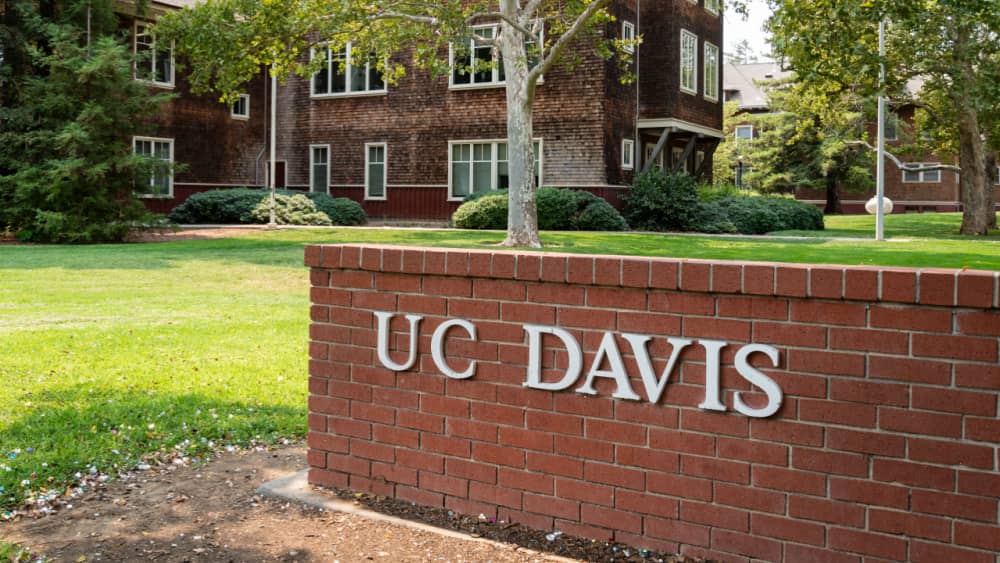 shutterstock_1163648791331739