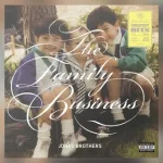 m_jonasbrothersfamilybusiness_100323800979