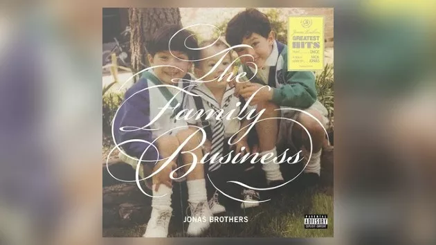 m_jonasbrothersfamilybusiness_100323800979