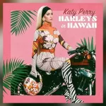 m_katyperryharleysinhawaii_100523338170