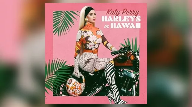 m_katyperryharleysinhawaii_100523338170