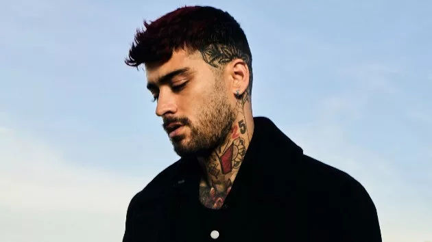 m_zayn20credit_20daniel20prakopcyk_032624298365