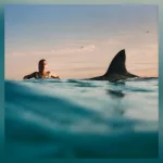 m_dualiparadicaloptimism_031324_0508814