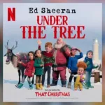 m_edsheeranunderthetree_112624193536