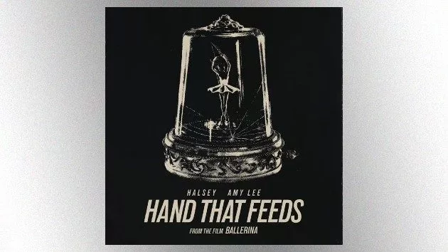 m_amyleehalsey_050925520890