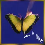 m_maroon5loveislike_062325814406