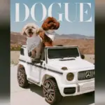 m_doguesabrinacarpenter_081825429334