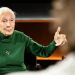 e_janegoodall_100325154177