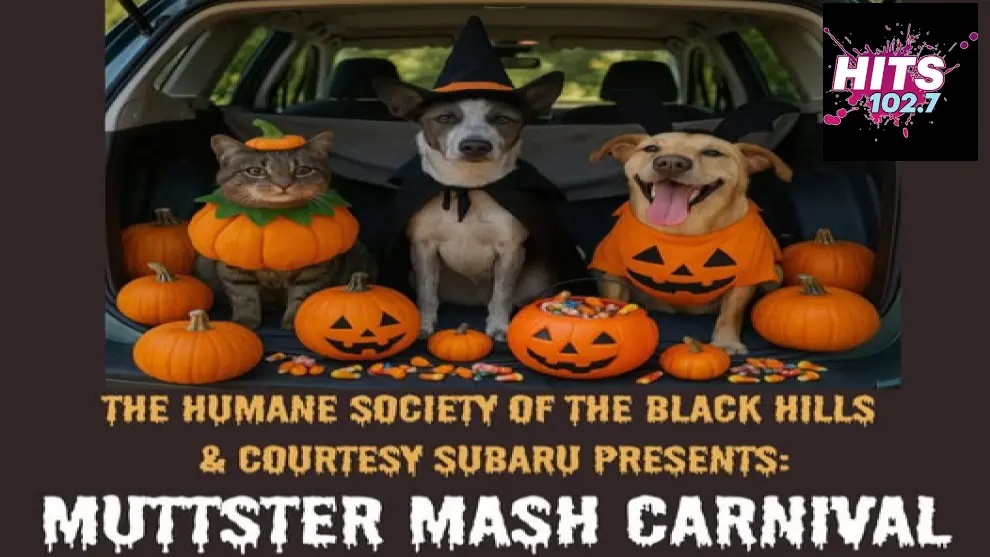 muttstermashhsbhhits