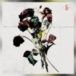 m_shinedown_021726789829