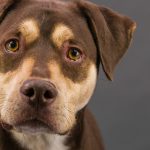 doby-832-jpg-2