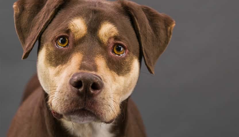doby-832-jpg-2