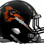 aledo-helmet-300x227