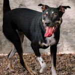 espenoza-hsnt18-832-jpg-3