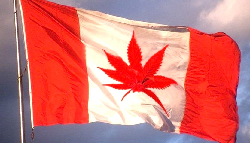 canadian-weed-flag-1-832