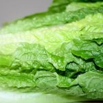 romaine-lettuce