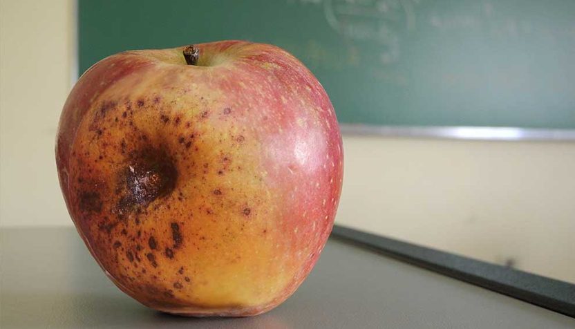 rotten-teachers-apple-1-832