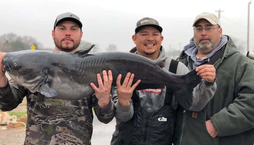 tawakoni-record-catfish